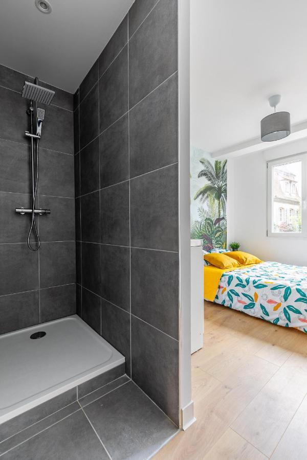 Strasbourg Centre / Krutneau Apartment Bagian luar foto